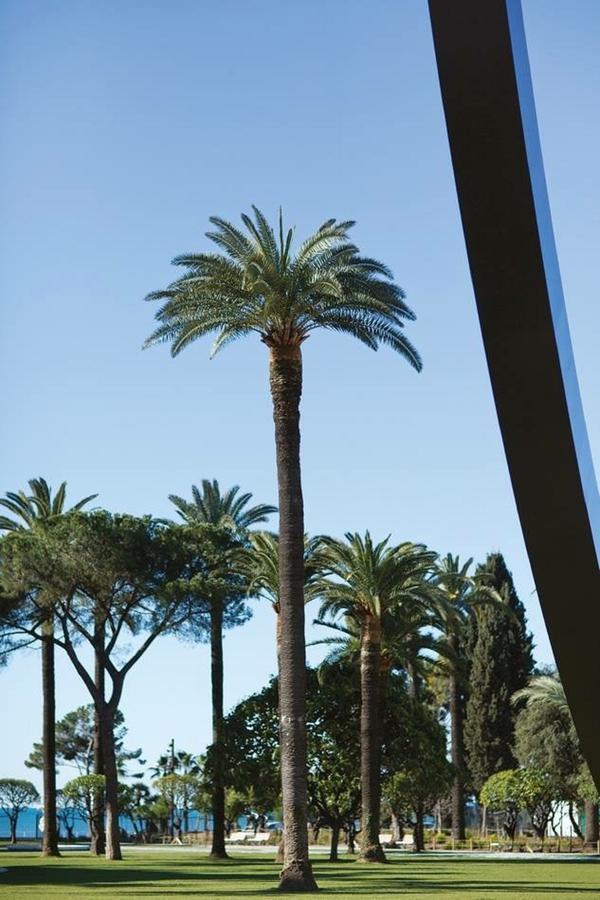 Ross 5- F2, Lumineux, Balcon, Loft, Clim, Vieux-Nice Luaran gambar